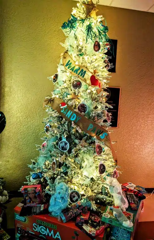 The DeKalb Animal Coalition won the honor for “The Most Touching Themed Tree” at the Annual Festival of Trees Monday night at the county complex. The event was held to collect toys for the Last Minute Toy Shop