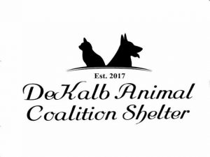 DeKalb Animal Coalition to Present Volunteer Orientation