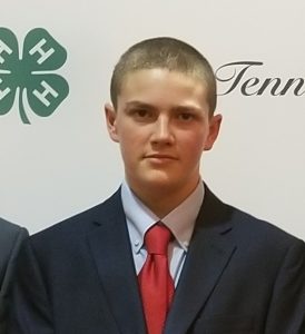 Clayton Crook was a state finalist in the beef project area at State 4-H Round Up.