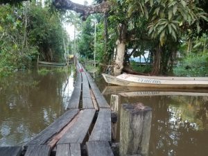 This is a picture of the plank bridge that my classmates and I had to traverse every night to come down to Dona Arlete's house which was on the Amazon River in Gurupa Miri. It was very rickety and had several broken, water-logged planks that stretched for several hundred yards up and down the river connecting the town to the other people living on the water. This is also the swimming hole where we would all swim in the evenings to cool off after a long, hot day at the excavation site.