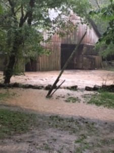 Caplinger Hollow Road, Liberty : Photo by Crystal Neal who said "Our two dogs got trapped in the barn. The water rose so quickly we couldn’t cross to get them. Luckily they are both ok".