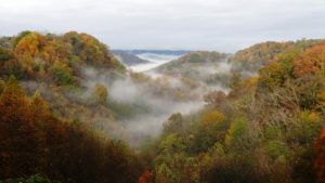 A 200 foot cell tower overlooking Dowelltown is proposed the last sloping hill on left, in this valley which also contains the Snows Hill battlefield.