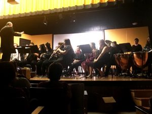 Members of the DCHS Band entertained during the annual Spring Concert held Tuesday night under the direction of Director Tracy Luna at the Ina Ruth Bess Auditorium at the high school.