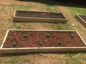 Outdoor Learning Space and Garden