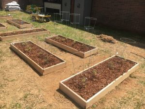 A group of students at DeKalb County High School began work developing an Outdoor Learning Space and Garden on campus in conjunction with Beautification Day at the school. When finished the venue will serve as an outdoor collaborative work area for students in a variety of classes with raised beds for growing herbs and vegetable plants as shown here