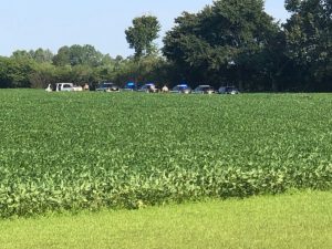 THP officers converge in bean field off of Midway Road in DeKalb County Sunday Morning to arrest Michael Holden Thomas who is wanted in Cannon County. He was in a stolen truck out of Rutherford County