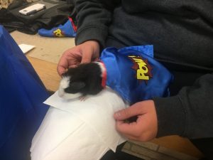 Real life Superhero critter makes an appearance at Superhero STEAM night Monday at DCHS