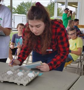 Lily Martin closely examines the exterior quality egg class.
