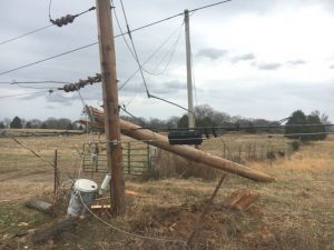 20 year old Payton France was airlifted after a one car rollover crash today (Monday) on Highway 288 in the Keltonburg Community. The car went through a fence and clipped a utility pole before overturning in a field and coming to rest on its top.