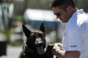 Its been a sad week for Smithville Police Detective James Cornelius and his family. The former K-9 officer lost his longtime partner and friend “Leo” on Monday. The dog, a Dutch Shepherd, passed away at the age of 11.