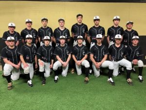 2020 DCHS Tiger Baseball Team: Bottom row (left to right): Dexton Emberton, Nathaniel Dace, Jordan Crook, Jordan Young, Patrick Cantrell, Cody Antoniak, Avery South and Kolter Kilgore, top row (left to right): Holden Hendrix, Grayson Hendrix, Jacob Johnson, Ian Jones, Aiden Curtis, Daniel Puckett, Isaac Knowles and Skylar Sparks.