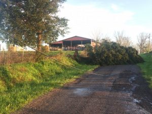 Donny Green, County Executive Director of the DeKalb-Cannon County Farm Service Agency, announces due to March 29, 2020 straight-line wind damages in portions of DeKalb and Cannon counties, the DeKalb-Cannon County Farm Service Agency has been authorized to implement a signup period for the Emergency Conservation Program (ECP)