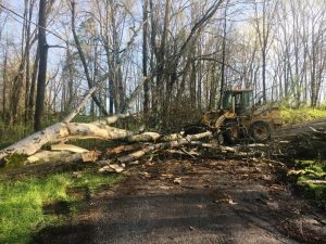 Trees were blown down across many roads in DeKalb County early Sunday morning during a severe thunderstorm. Members of the DeKalb County Highway Department, Smithville-DeKalb County Rescue Squad, DeKalb County Volunteer Fire Department, Sheriff’s Department, Smithville Public Works Department employees, emergency management, and other volunteers sprung into action with chainsaws and other cutting tools and equipment to remove the debris blocking county roads and state highways. Picture shows tree down across County House Road off Highway 56 South