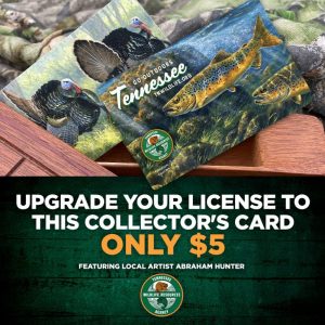 Tennessee’s 2019-20 hunting and fishing licenses are now expired, as of Saturday, Feb. 29. The new 2020-21 licenses went on sale Feb. 18 and are valid through February 2021.