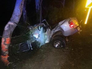 18 year old Russell Elliott of Brush Creek was driving north on Dale Ridge Road Thursday night in a 2002 Ford Ranger. A 17 year old boy was with him. Elliot went off the left side of the road while trying to negotiate a curve too fast. The truck went off a steep embankment and hit three trees before coming to a stop. Elliot was airlifted to Vanderbilt Hospital. The boy was transported by EMS to Ascension Saint Thomas DeKalb Hospital