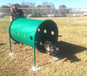 Nikki Ellis watches as her dog makes it through the doggie crawl tunnel at the new Smithville Dog Park Friday
