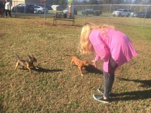 Pet owners and dogs enjoyed the first day of operation Friday for the new Central Bark Dog Park in Smithville