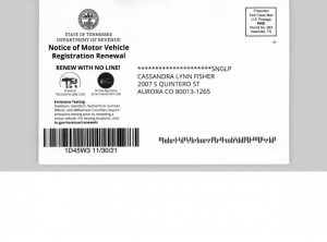 Starting in January 2021, the Department of Revenue will send postcards to motor vehicle registrants to remind them of upcoming renewal dates. The postcards will replace traditional letters and will reduce state mailing expenses by an estimated $500,000. (Photo shows front of card)