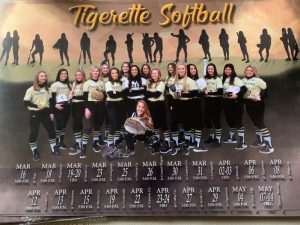 The DCHS Tigerettes defeated Livingston Academy 12 to 2 in the District Tournament Friday in Smithville.