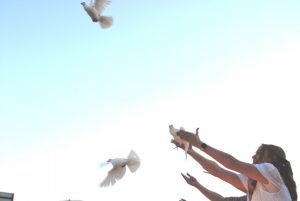 Dove release during performance of Community Chorus at Fiddlers Jamboree Friday evening