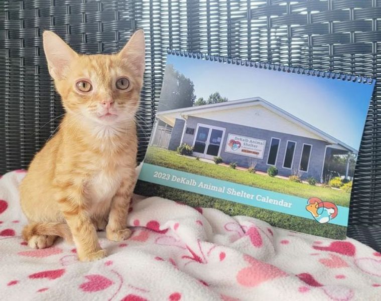 DeKalb Animal Shelter Selling 2023 Calendars as Fundraiser for Spay and