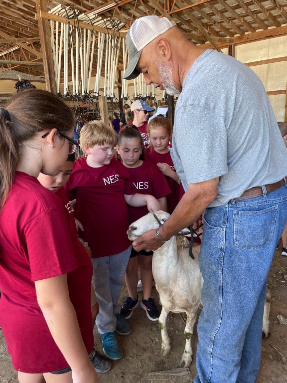 Steve Officer showing sheep at Farm Day