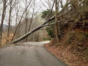 Tree blown down across Floating Mill Road