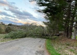 Tree blown down over New Bildad Road Friday