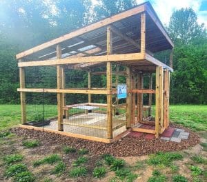 Catio at DeKalb Animal Shelter