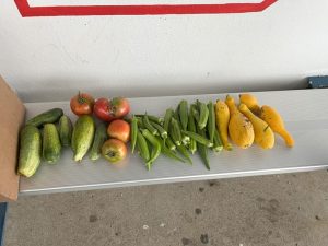 Fruits of their labor: DMS students are growing a variety of fruits and vegetables in an outdoor summer garden at school. The produce shown is part of the harvest so far
