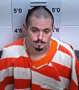 Christopher Michael Ellison