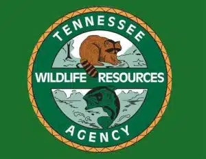 Increased hunting, fishing and boating fees approved in Tennessee