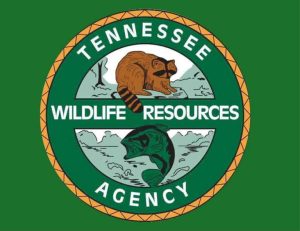 Increased hunting, fishing and boating fees approved in Tennessee